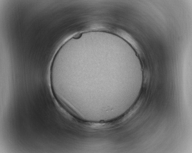 X0000093451439200711091504