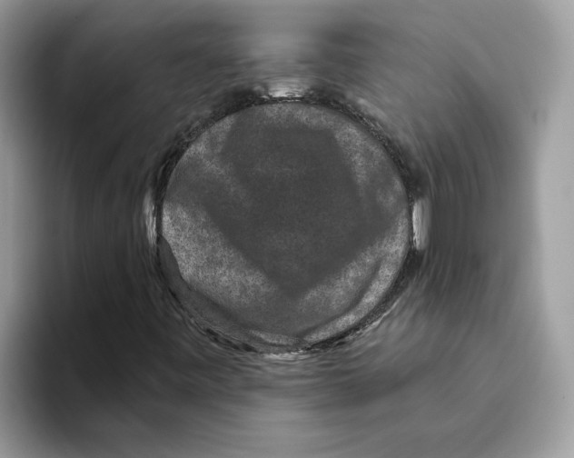 X0000093451443200711091504