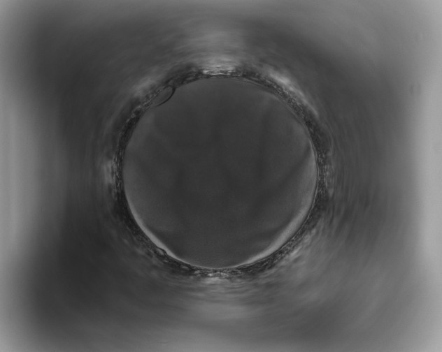 X0000093451445200711091504