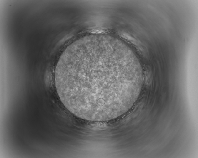 X0000093451446200711091504