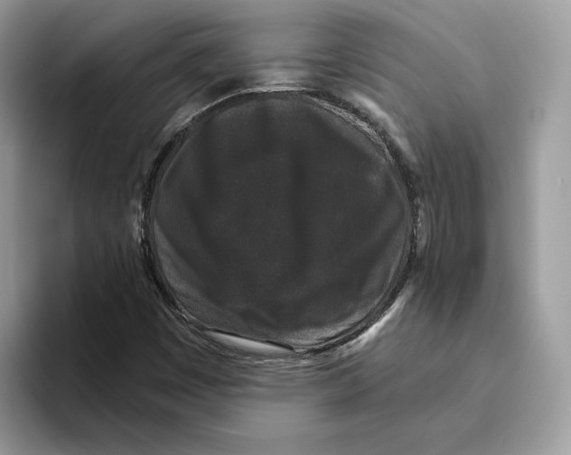 X0000093451449200711091503