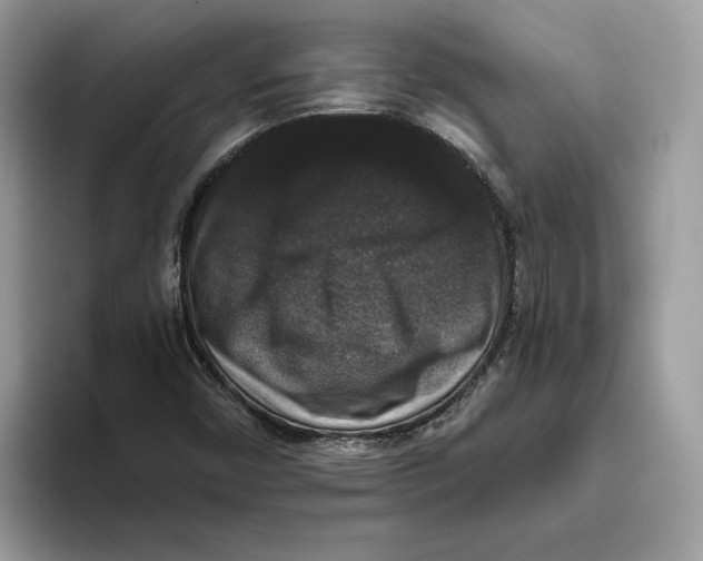 X0000093451450200711091503