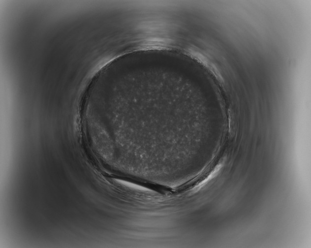 X0000093451453200711091503