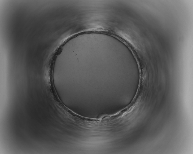 X0000093451455200711091503