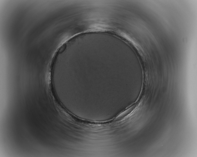 X0000093451459200711091503