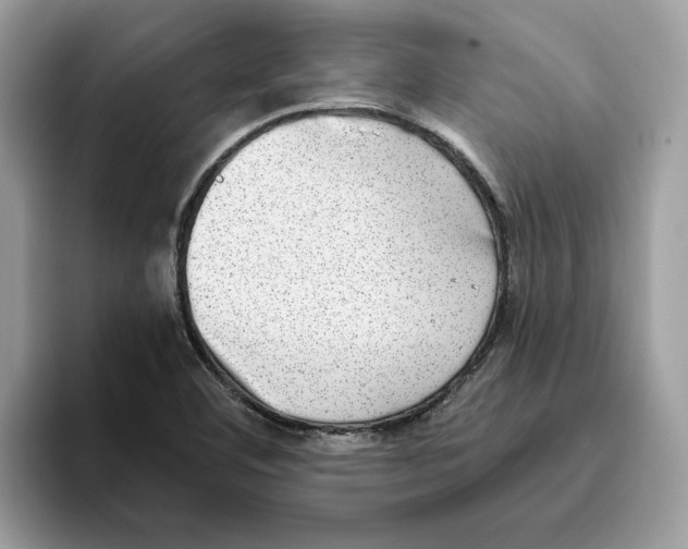 X0000093451460200711091503