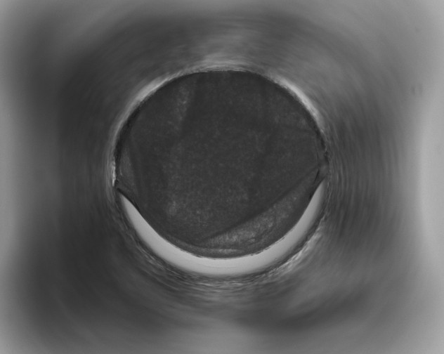 X0000093451461200711091503