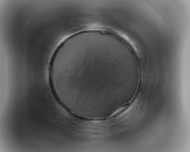 X0000093451463200711091503