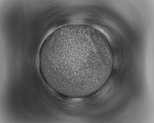 X0000093451467200711091503