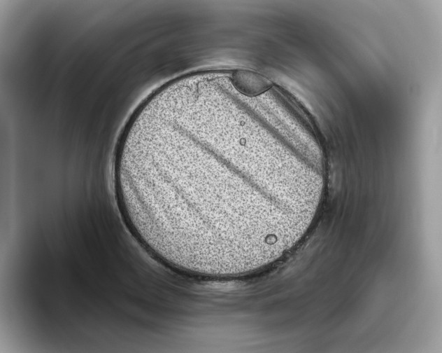 X0000093451468200711091503