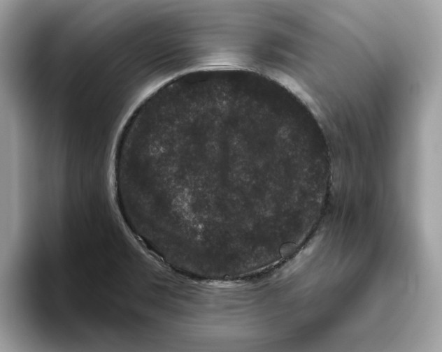 X0000093451469200711091503