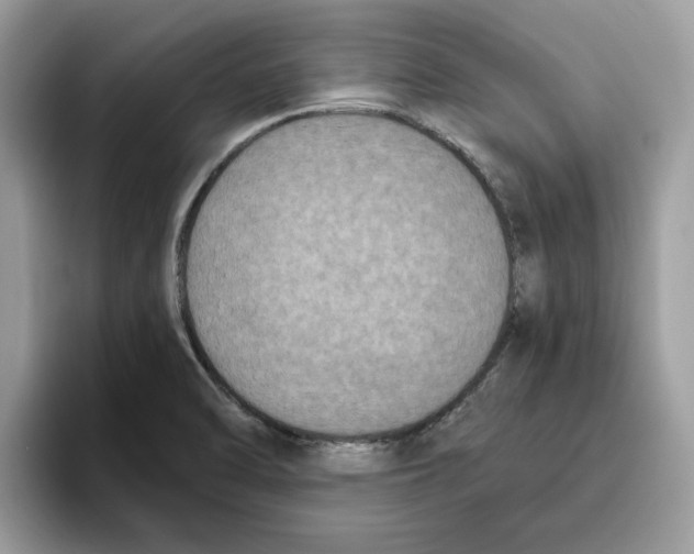 X0000093451470200711091503