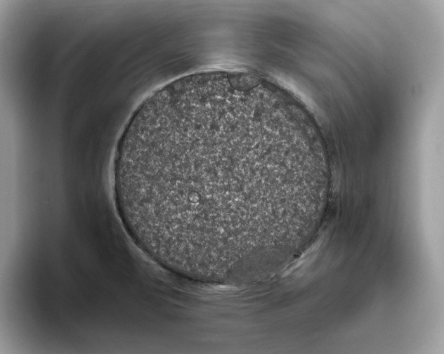 X0000093451471200711091503