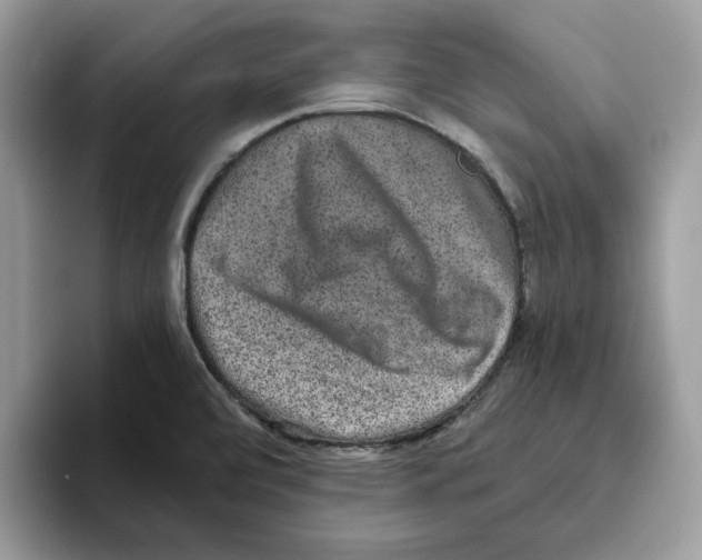 X0000093451472200711091503