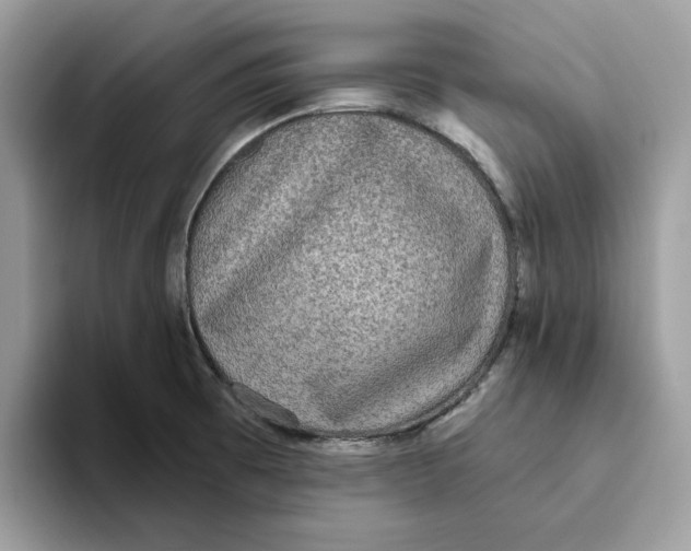 X0000093451473200711091503