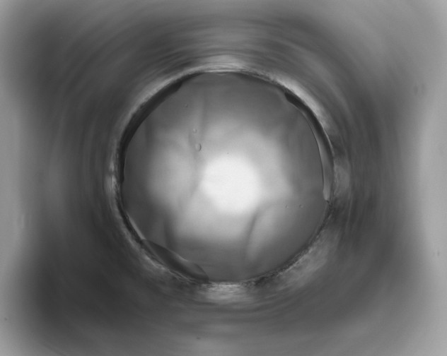 X0000093451477200711091503