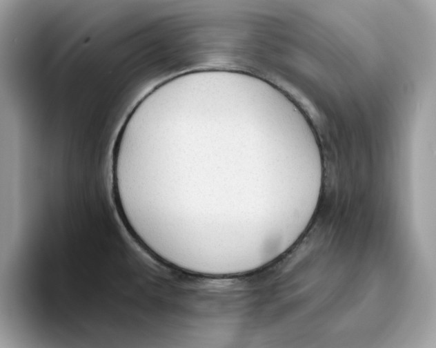 X0000093451479200711091503