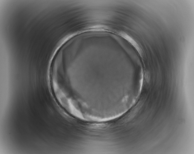 X0000093451482200711091503