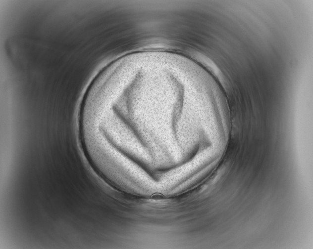 X0000093451483200711091503