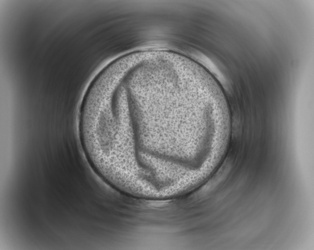 X0000093451484200711091503