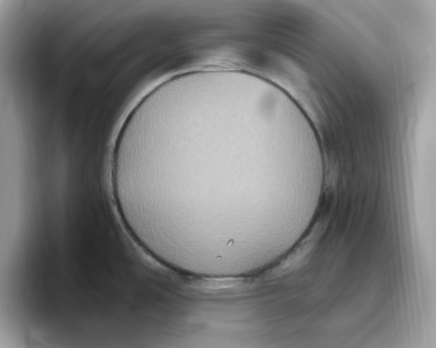 X0000093451486200711091503