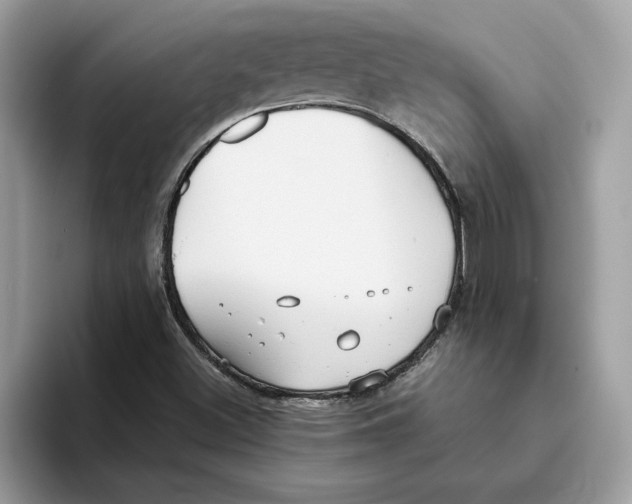 X0000093451500200711091503