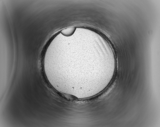 X0000093451501200711091503