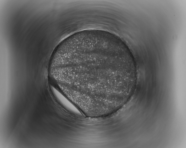 X0000093451505200711091503