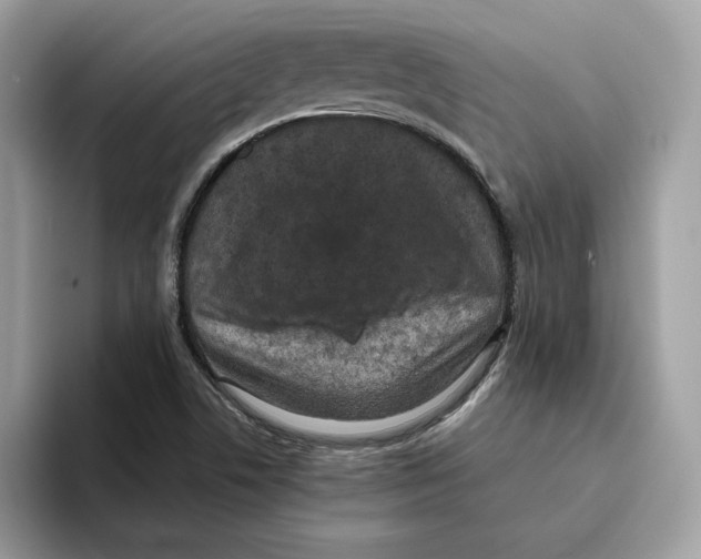 X0000093451506200711091503