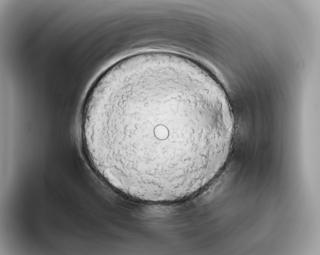 X0000093451514200711091503