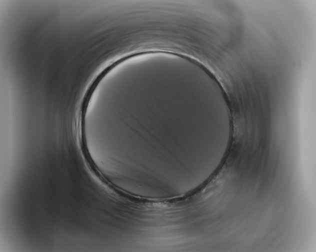 X0000093451515200711091503