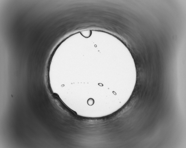 X0000093451518200711091503