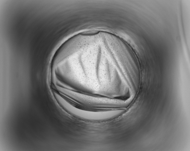 X0000093451520200711091503