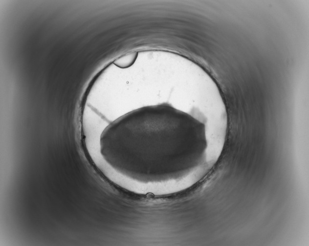 X0000093451522200711091503