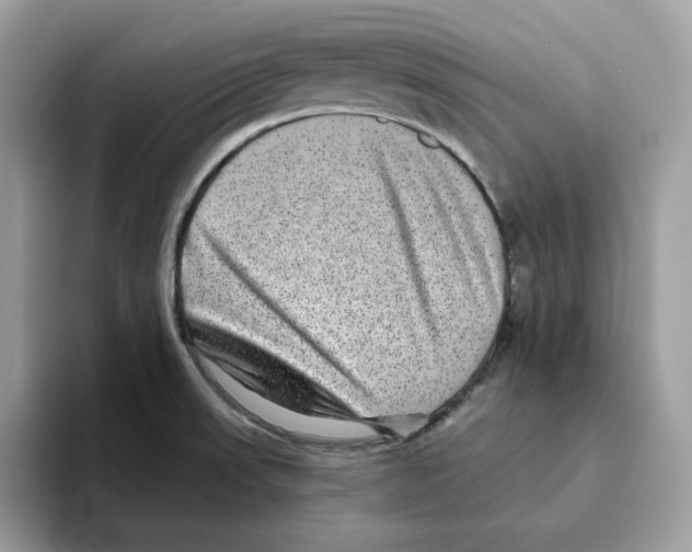 X0000093451523200711091503