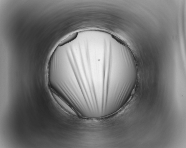 X0000093451524200711091503