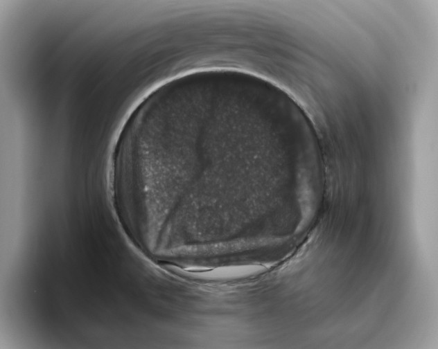 X0000093451527200711091503