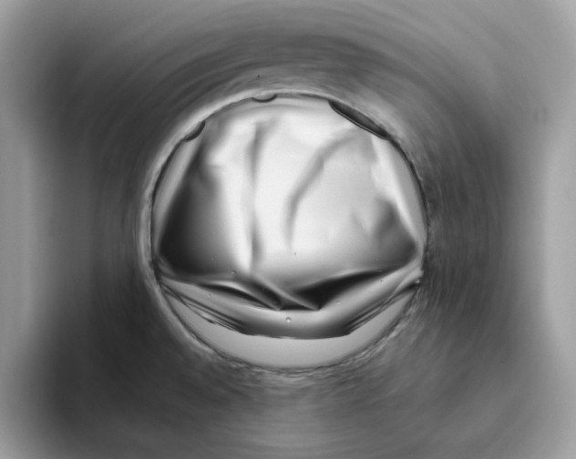 X0000093451528200711091503