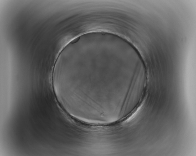 X0000093451529200711091503