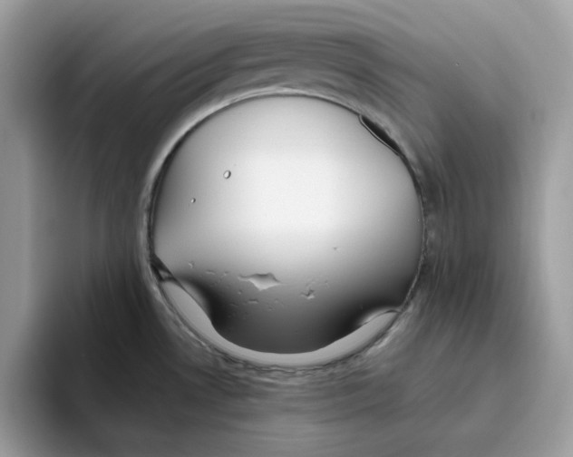 X0000093451530200711091503