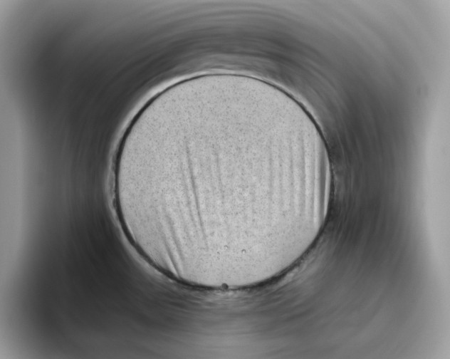 X0000093451531200711091503