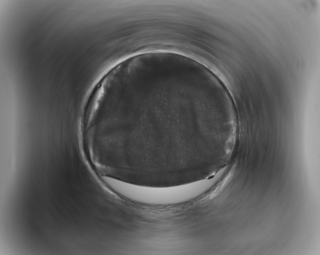 X0000093451533200711091503