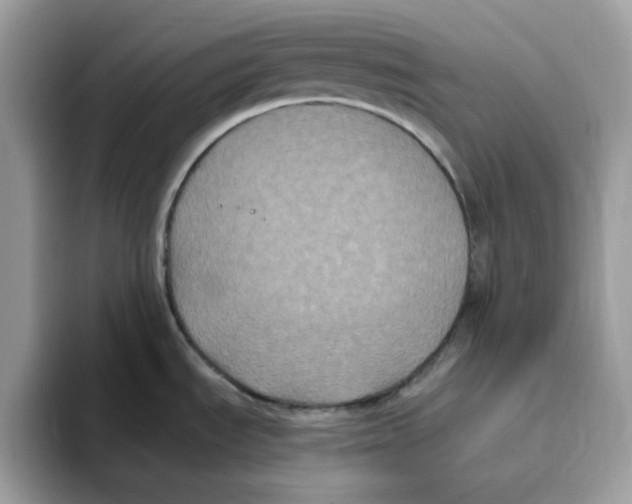 X0000093451535200711091503