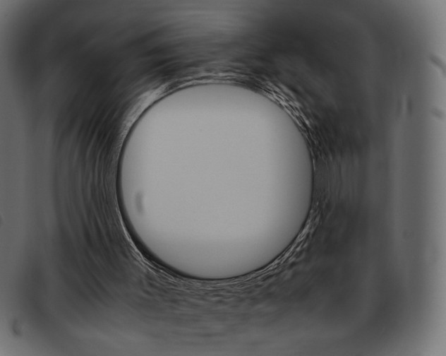 X0000093460003200710120959