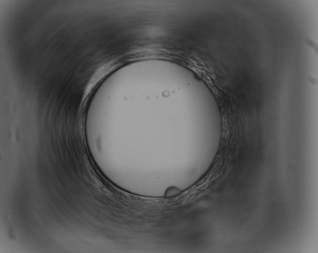 X0000093460004200710120959
