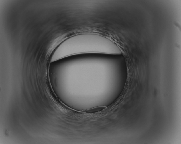 X0000093460005200710120959