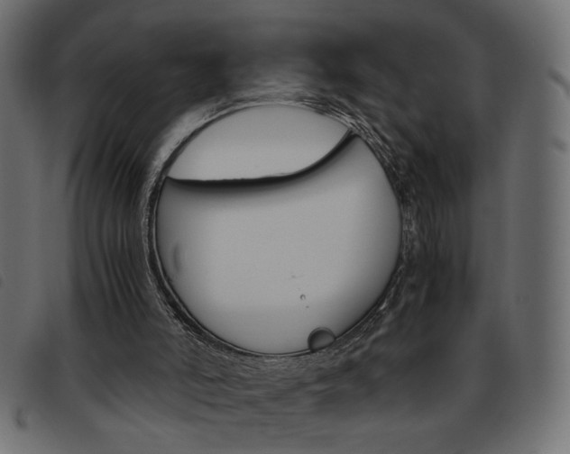 X0000093460006200710120959
