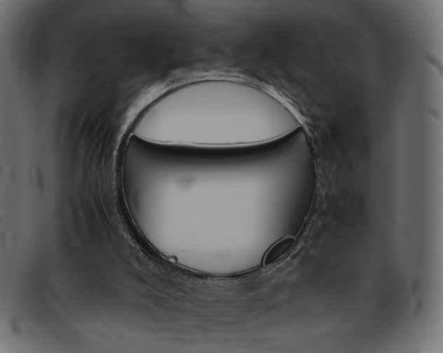 X0000093460008200710120959
