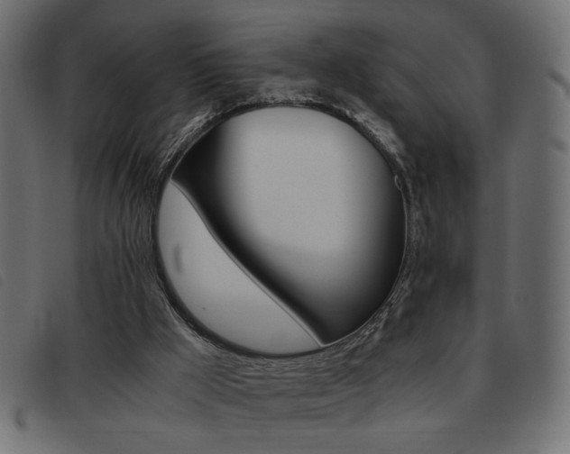 X0000093460009200710120959