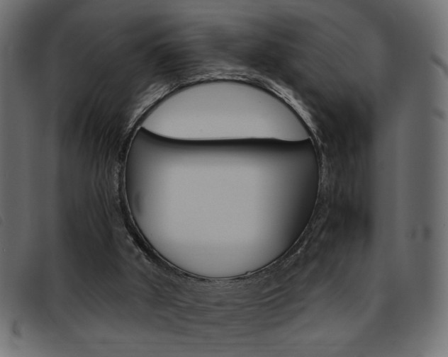 X0000093460010200710120959